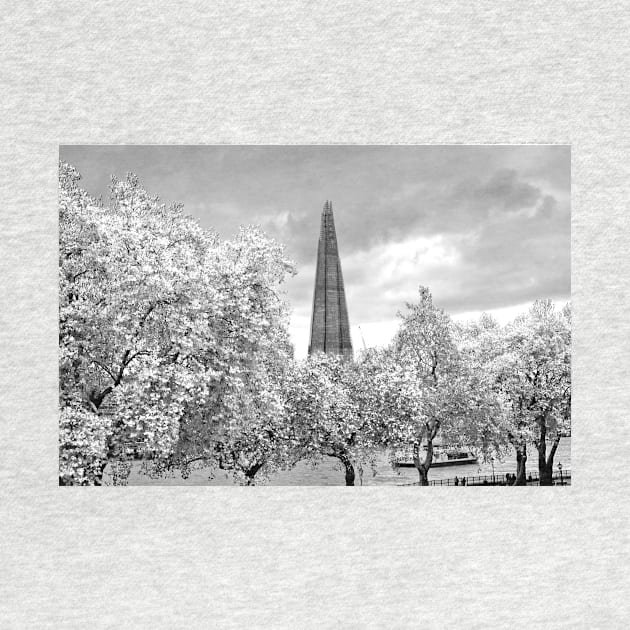 The Shard London Bridge Tower Southwark by AndyEvansPhotos